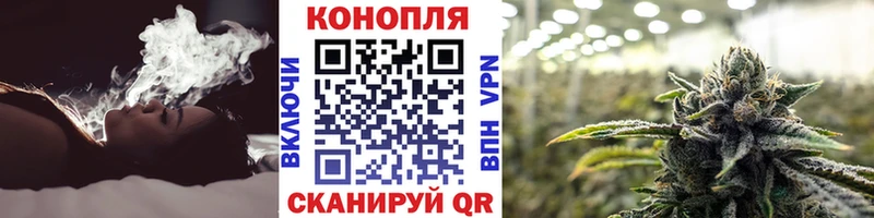 Марихуана SATIVA & INDICA  Рошаль 